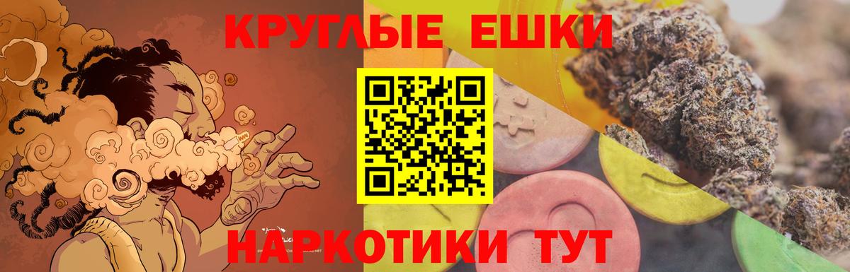 Ecstasy  Экстази Philipp Plein  Вход с VPN  Бердск 