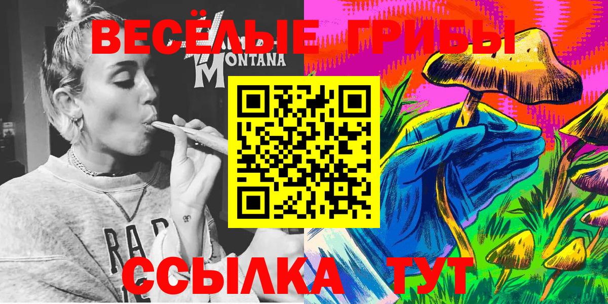 Псилоцибиновые грибы GOLDEN TEACHER  Вход с VPN  Псилоцибиновые грибы Psilocybe  Бердск 