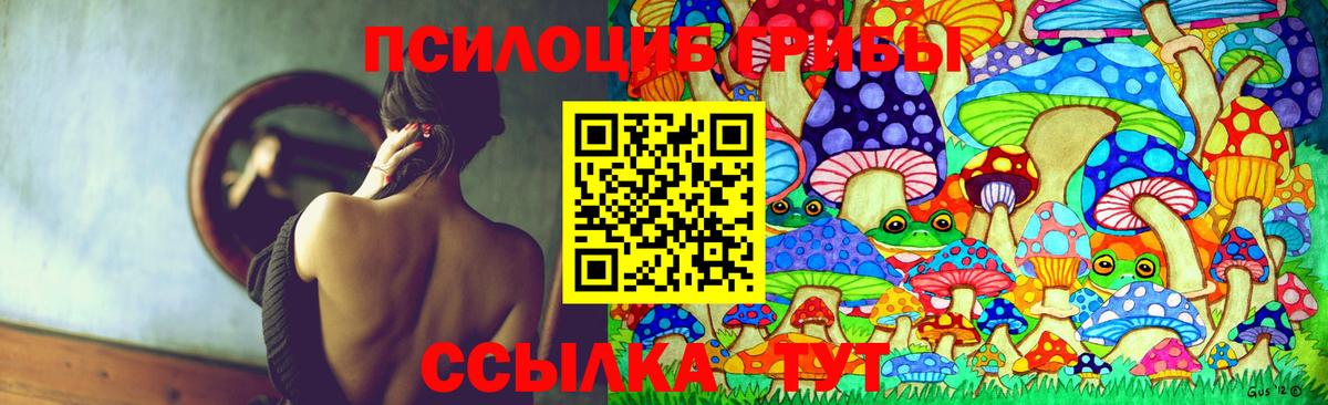 Галлюциногенные грибы Psilocybine cubensis Бердск